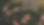Kukka_LinkedIn Landscape.png