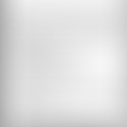 Consultancy Opportunity – Functional Review