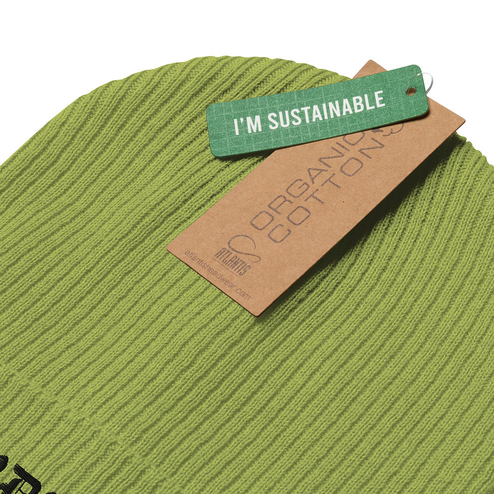 Thumbnail: Organic ribbed beanie RDH