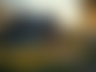 Как выбрать водостоки: советы от экспертов