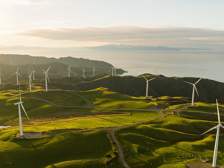 Jānis Irbe, Armands Gūtmanis: Energy independence, energy security and local renewable resources