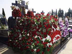 Rosas vermelhas