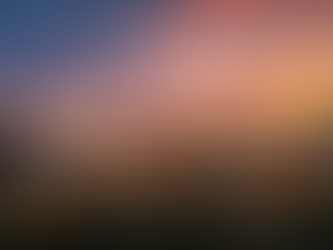 Why Canadian Made Steel Buildings and Local Support Matter. Performance, Accountability, Confidence