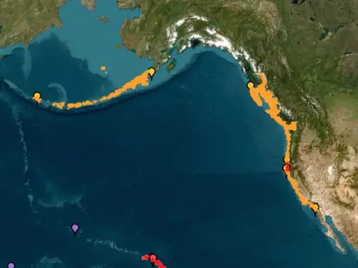 The July End Perfect Storm: From an 8.7 quake to tariff deadlines,72 Hours That Shook Global Logistics
