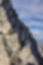 MG_0687-1365x2048.jpg