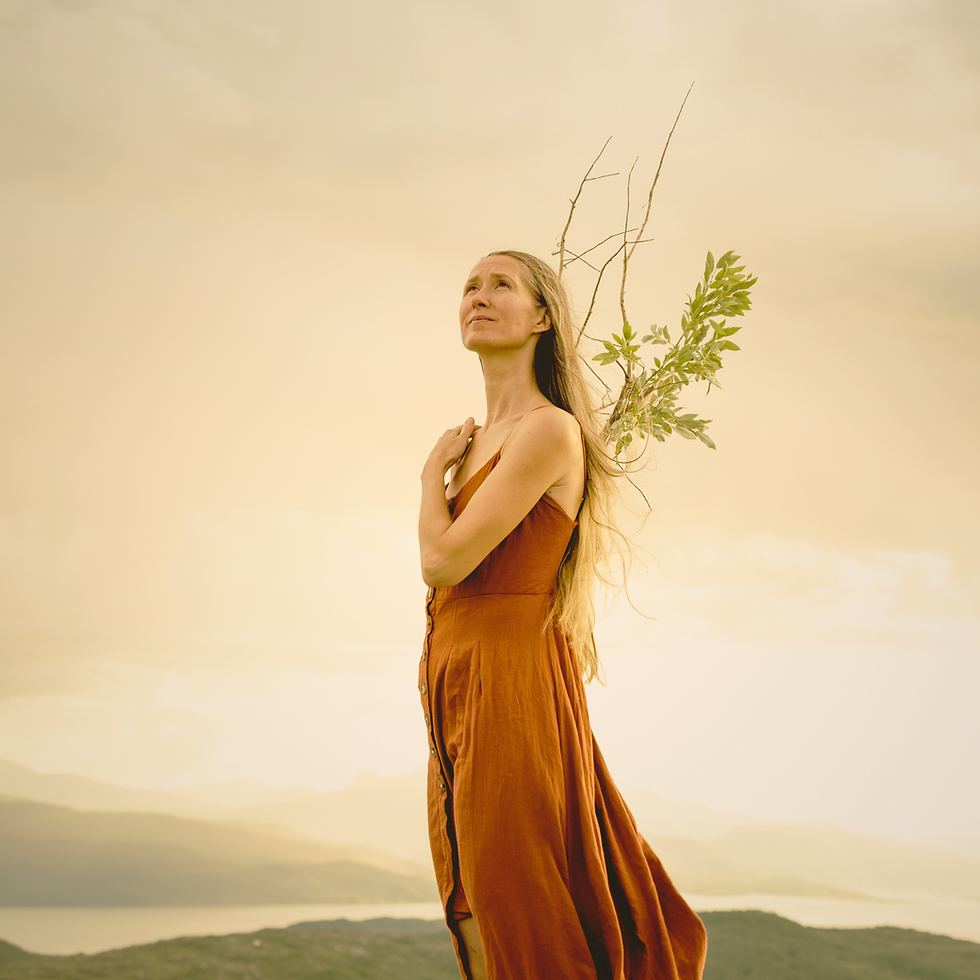 Promo Square 1 ! (Fredrik Siggerud).png