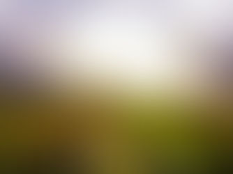 Dokąd tak pędzisz?