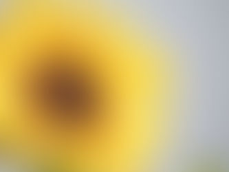 Pokonując swoje ograniczenia