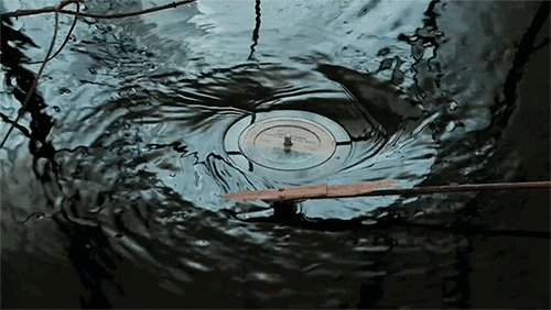 disque eau.gif
