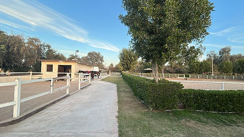 WhatsApp Image 2025-01-09 at 21.17.43_e92b7c66.jpg