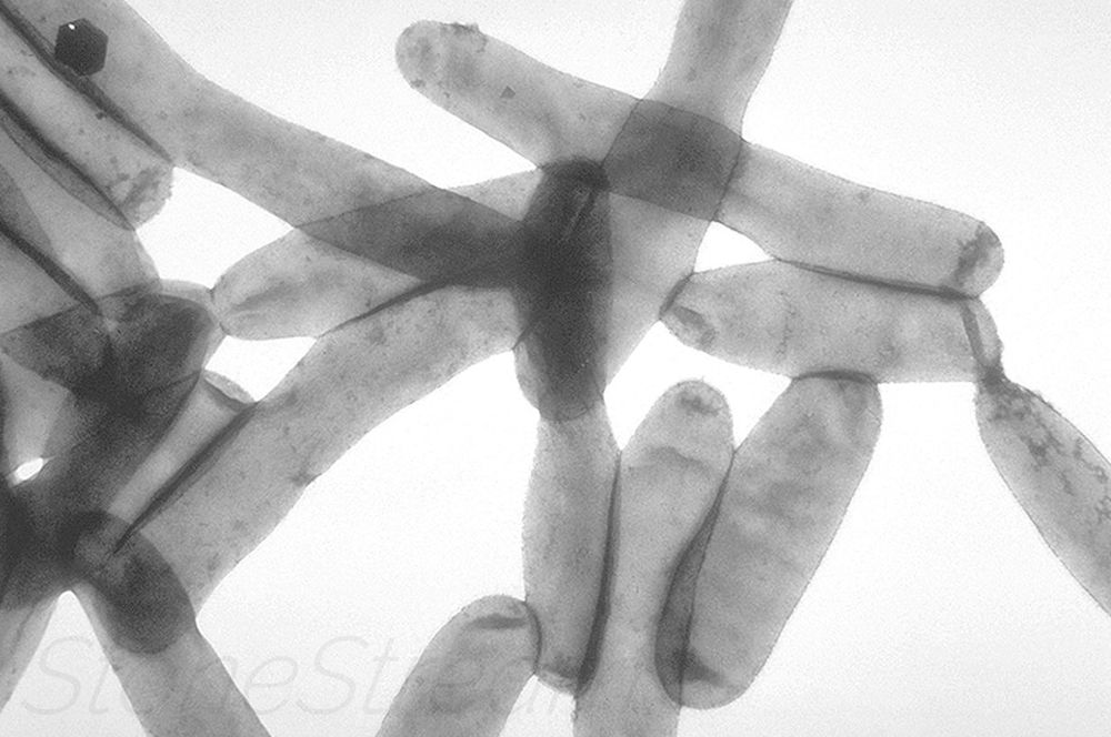 What is limescale? How to Prevent Limescale Stone Stream