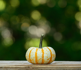 Courge Pump-Ke-Mon Valfei