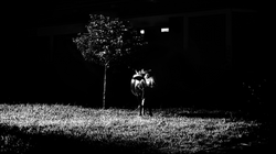 _DSC3451.2.png