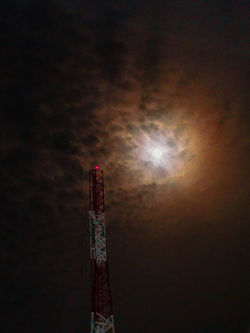 _DSC29242924-2.jpg