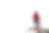 10000120267.png