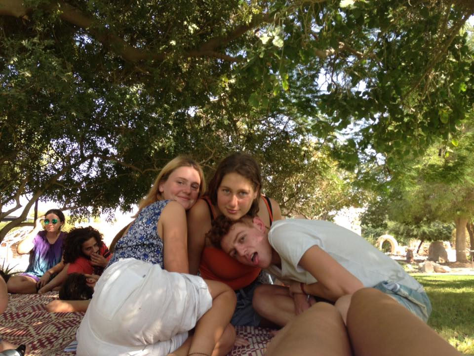 Lotan 211