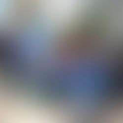 WEEKLY UPDATE- 12.1.17