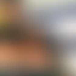 WEEKLY UPDATE- 3.8.17