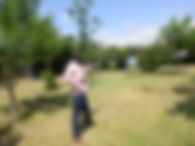 Equator Archery.jpg