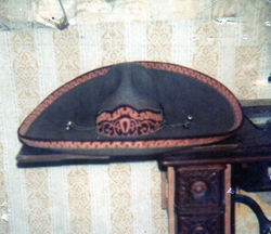 img335.jpg