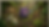 Gemini_Generated_Image_vp9o2jvp9o2jvp9o.png