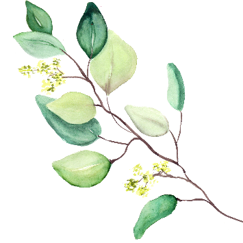 Shimsha Sanjeevani