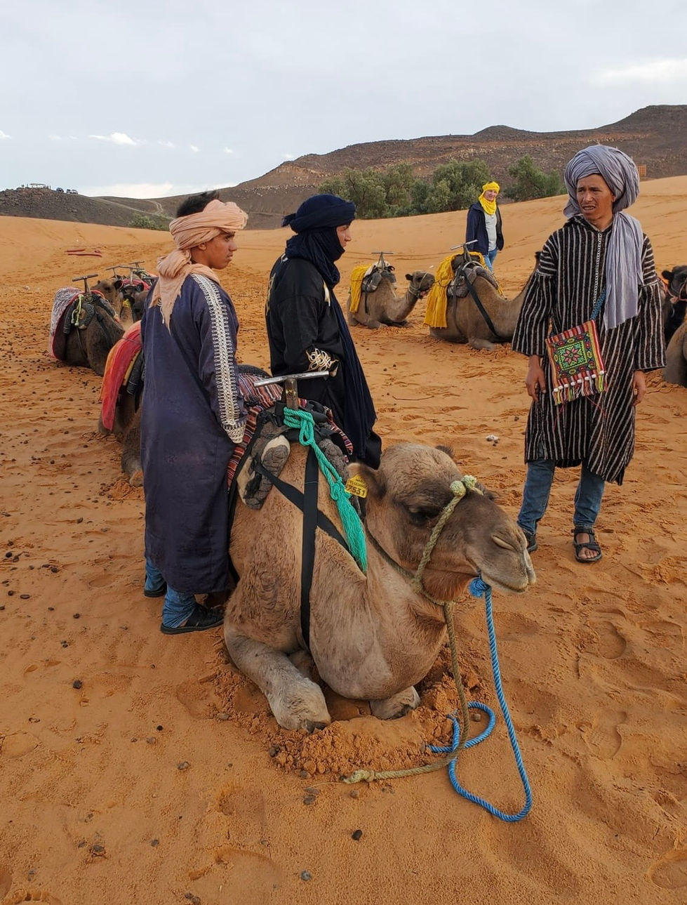 0c32b7ba-1a16-4e36-963c-08de8e38ceaf