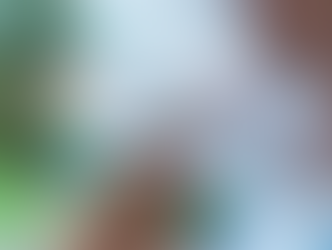 Cigarro é responsável por 95% dos casos de câncer de boca