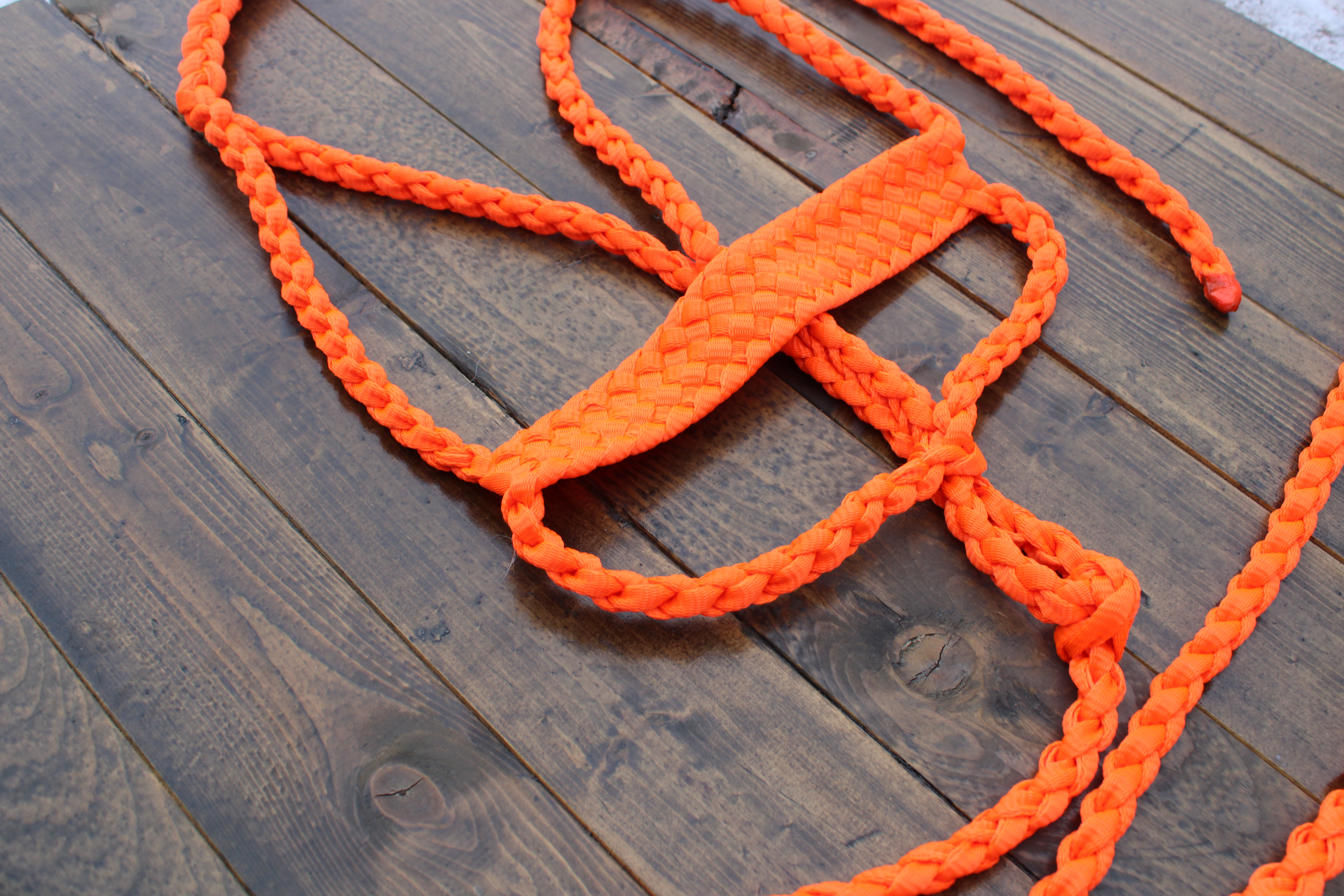 Orange Mule Tape Halter