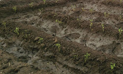 IMG_20190126_101413%20(2)_edited