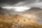 kristof-vizy-zQBSte4Rn3s-unsplash_edited.jpg