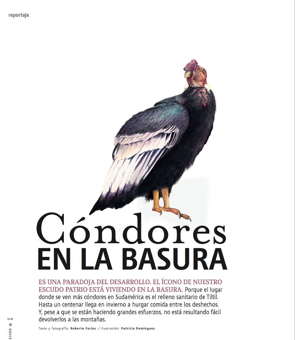 Revista-Paula