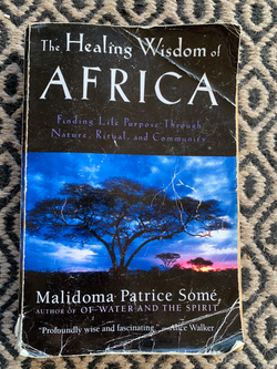 The Healing Wisdom of Africa