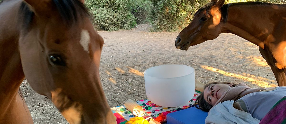 WhatsApp Image 2025-05-05 at 19.06.02.jpeg