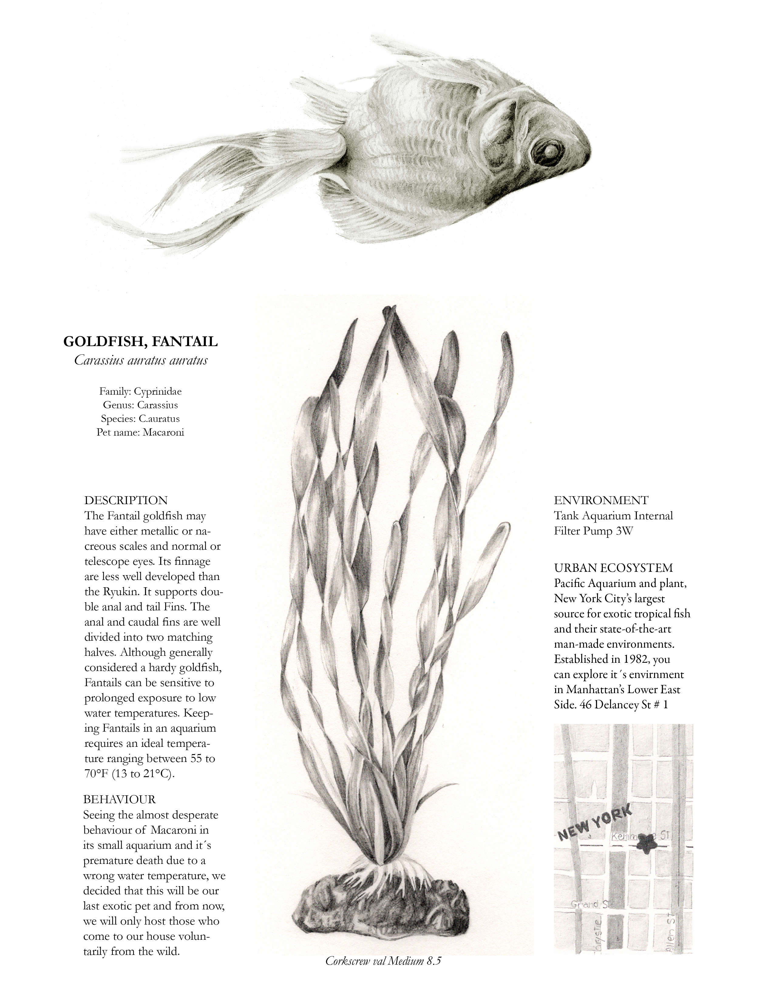 Dead fish info