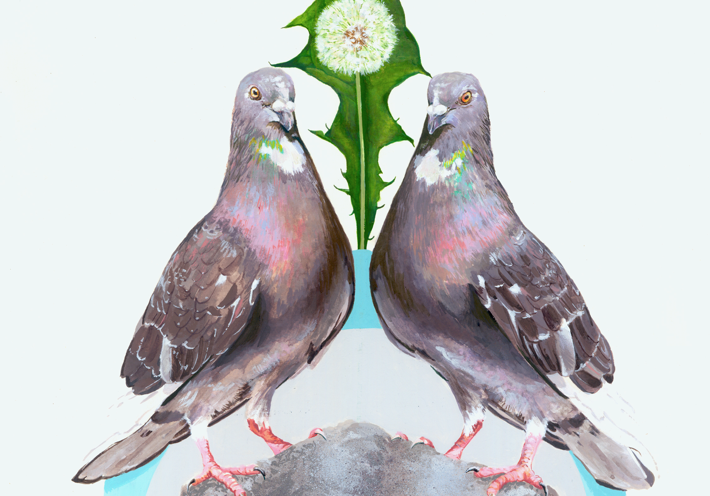 Street doves detail