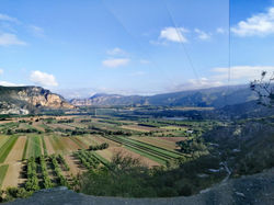 Campo