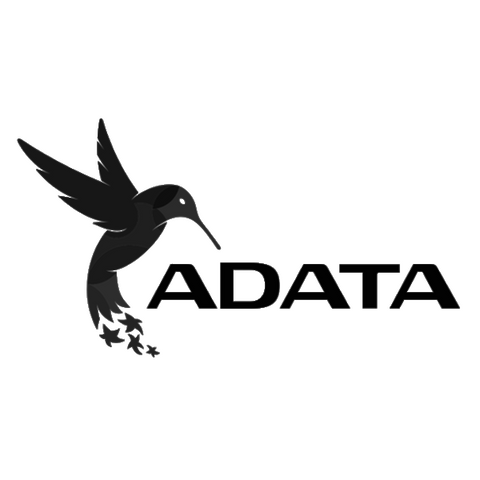 ADATA_b.png