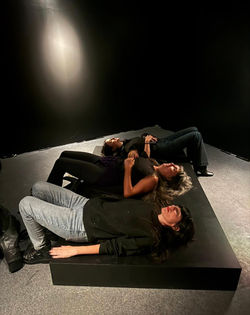 Instalación sonora: sonido de los latidos de 2 corazones (real) durante el acto sexual