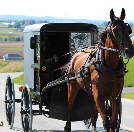 Amish Buggy_edited_edited.jpg
