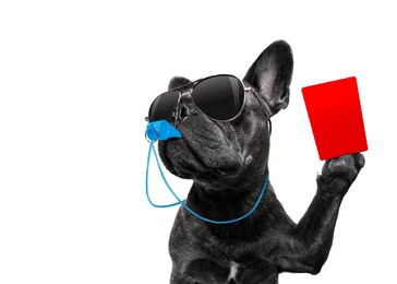 An Employee Went Viral. Now What? Off-Duty Conduct and Your Business.