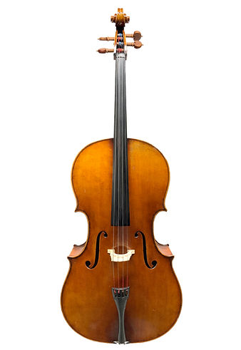 Eastman cello top.jpg