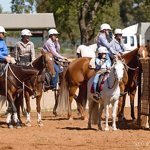 Cudal Campdraft