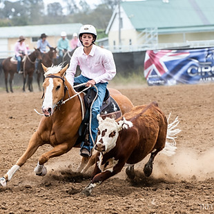 Barraba Campdraft