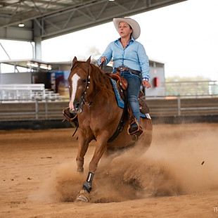 Tamworth Reining Show