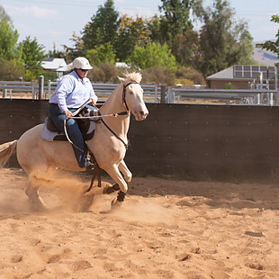 Neil Faint Clinic