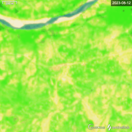 image16.gif?auto=format