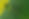 Garden_Tree_ArialView.jpg