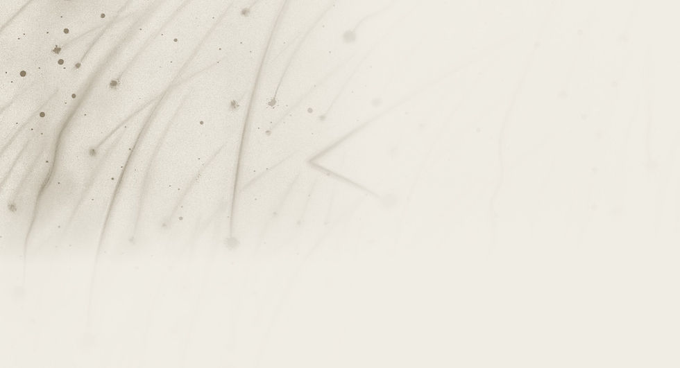 04_bottom-banner_DESKTOP_faded_2400x1300.jpg