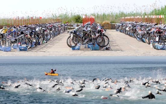 How to Get Started As a New Swimmer